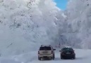 En huzurlu ve keyifli yolculuk bu olsa gerek.