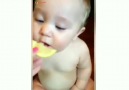 En Komik - Bebeklerin limon deneyimi Facebook