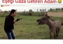 En Komik - Eşeği Gaza Getiren Adam