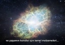 En Şaşırtıcı Gerçek [ Neil deGrasse Tyson ]