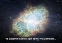 En Şaşırtıcı Gerçek [ Neil deGrasse Tyson ]