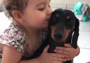 Ensine os seus filhos a AMAR OS ANIMAIS!