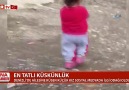 EN TATLI KÜSKÜNLÜK