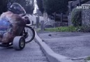 Epic Drift Trike Session