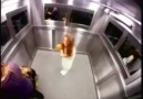 Epic Scary Elevator Prank