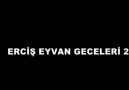 Erciş Eyvan Geceleri 2