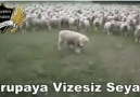 Erdoğan Çoban belgeseli...)