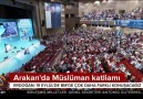 Erdoğan Myanmarda şehitliğimiz olduğunu bile bilmiyorlar