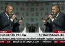 Erdoğan - Staying Alive
