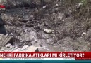 Ergene Nehrinden zehir akıyor