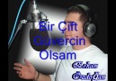 Erkan Özdoğan - Bir Çift Güvercin Olsam (halay)