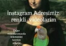 Erkeklere gelsin bu video