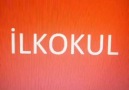 Erkeklerin kızlara davranışı