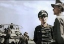 Erwin Rommel ( çöl tilkisi )
