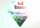 ERZURUMDAN ESİNTİLER