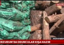 Erzurumda Oduncular Kışa Hazır