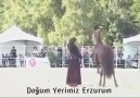 Erzurumlular - Hay maşallah verene gurban..