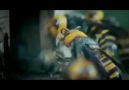 Eşek arılarının Japon bal arısı katliamı