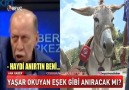 EŞEK GİBİ ANIRMAK KOLAY MI....