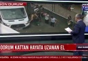 Esenyurt Haber - Bodrum kattan hayata uzanan el......