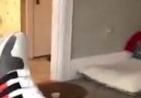 Eşinin içeceğine viagra attı ve sonuçları D