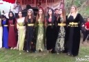 Eşira çoçına - Mani mani kurdo buye almani