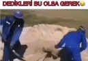 Eşira Nasıra le Hier