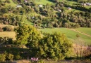 Eski adı ilçe... - Artvin&Sesi Doğa