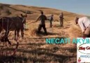 ESKI BIR DORT ARADIMMÜZİK Pinari SAYFAMIZA DAVETLISINIZ
