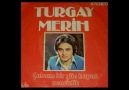 ESKİ 45 LİKLER TÜRKÇE - Turgay Merih Kara Sevda Yüzünden 1981 Facebook