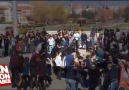 Eskişehir'de bir kişi Nevruz halayında apaçi dansı yaptı