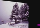 Eski Slow& Nostalji - SALVATORE ADAMO Tombe la neige 1963 Facebook