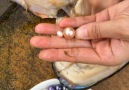 Esto Es Zihua - Pearl Jewelry from alive oyster Facebook