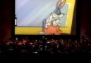 ‘The Rabbit of Seville’ (Sample Music/Video)