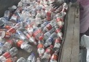 Euphoria - Plastic waste recycling line Facebook