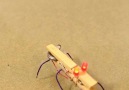 Evde Basit Mini Robot Yapımı