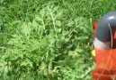 Evde Çim Biçme Makinesi Nasıl YapılırPaylaşsana