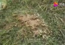 Evde Sağlık