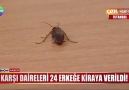 Evi 24 erkeğe kiraya verdiler! Apartmanı böcekler bastı!