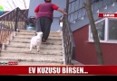 Ev kuzusu birsen!