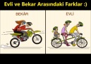 Evli ve Bekar arasındaki 10 fark :)