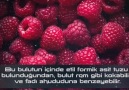Evrenin Bilinmeyen Gerçekleri (İzleyiniz)