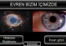 Evrenle insanın benzerliği