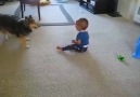 Excited dog makes baby laugh!