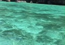 Exploring Amazing Phi Phi Island In Thailand