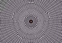 Eye - Optical illusion