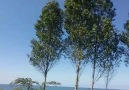 Eynesil 28 - Karadeniz sahil yolu arası
