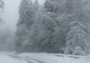 Eynesil 28 - Kümbet yolu-İyi geceler herkese