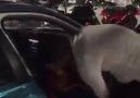 Eyüp Adem Alici - Çekil ulan ben açarım kapımı