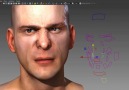 Facial Rigging based on FACS (WIP)